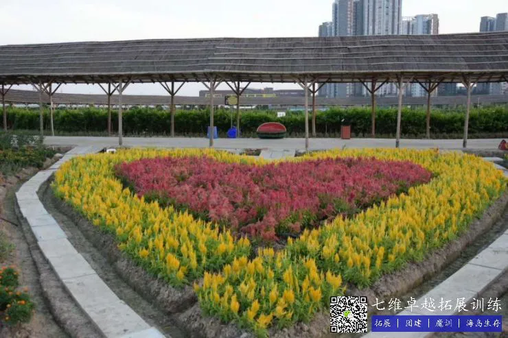 如何利用力量训练提高篮球运动员的弹跳力?_2